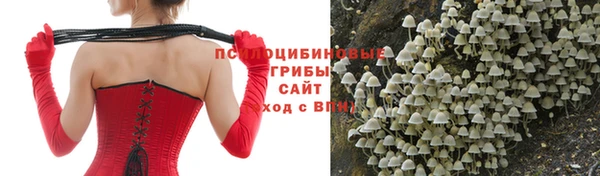 стаф Алексин