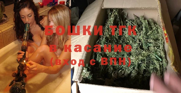 стаф Алексин