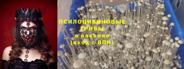 стаф Алексин
